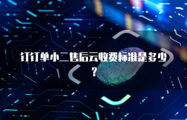 钉钉单小二售后云收费标准是多少?