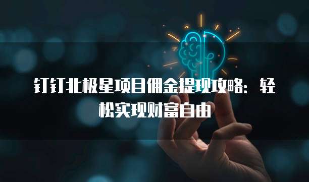 钉钉北极星项目佣金提现攻略:轻松实现财富自由