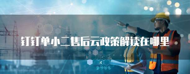 钉钉单小二售后云政策解读在哪里