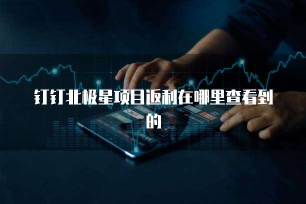 钉钉北极星项目返利在哪里查看到的
