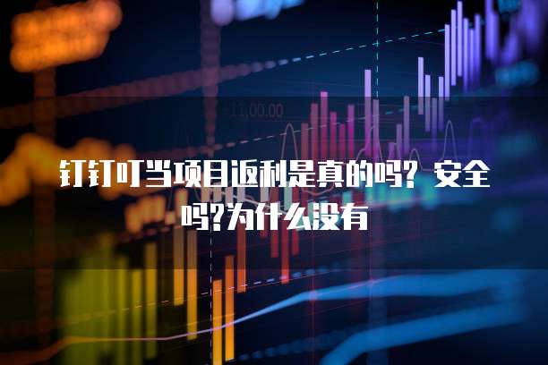 钉钉叮当项目返利是真的吗? 安全吗?为什么没有