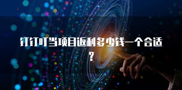 钉钉叮当项目返利多少钱一个合适?