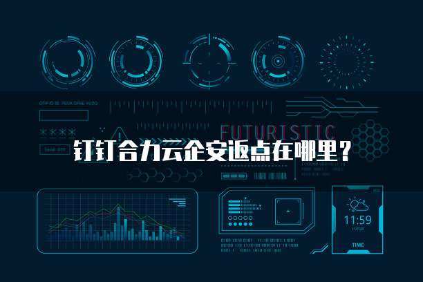 钉钉合力云企安返点在哪里？