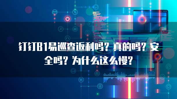 钉钉B1易巡查返利吗?真的吗?安全吗?为什么这么慢?