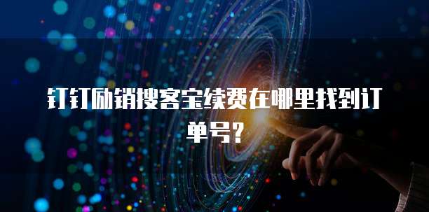 钉钉励销搜客宝续费在哪里找到订单号?