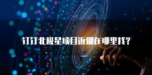 钉钉北极星项目返佣在哪里找?