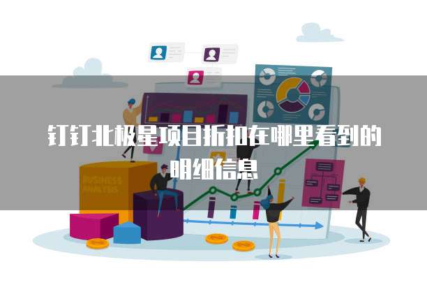 钉钉北极星项目折扣在哪里看到的明细信息