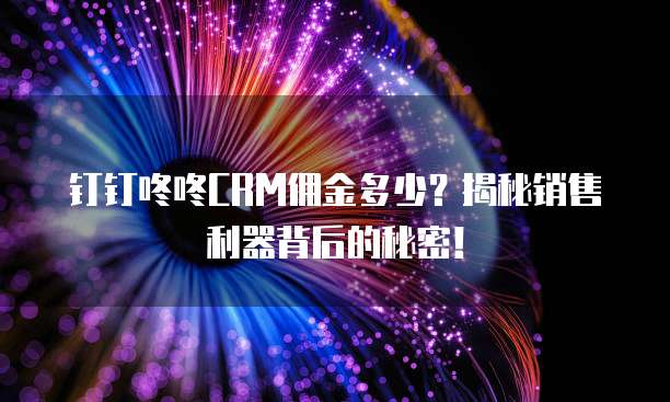 钉钉咚咚CRM佣金多少?揭秘销售利器背后的秘密!