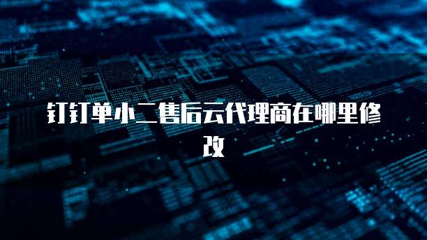 钉钉单小二售后云代理商在哪里修改