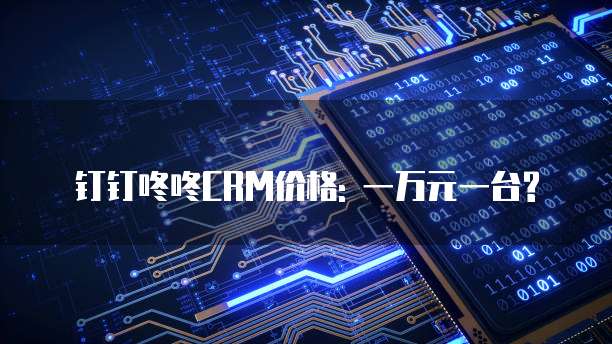 钉钉咚咚CRM价格: 一万元一台?