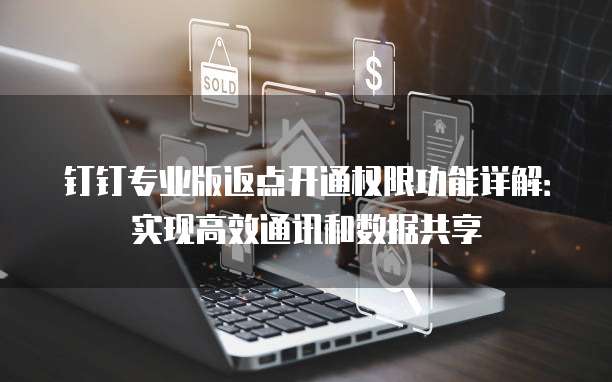 钉钉专业版返点开通权限功能详解:实现高效通讯和数据共享