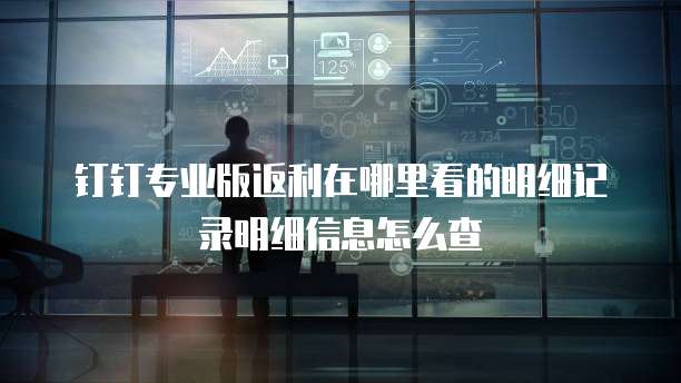 钉钉专业版返利在哪里看的明细记录明细信息怎么查