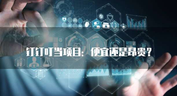 钉钉叮当项目:便宜还是昂贵?