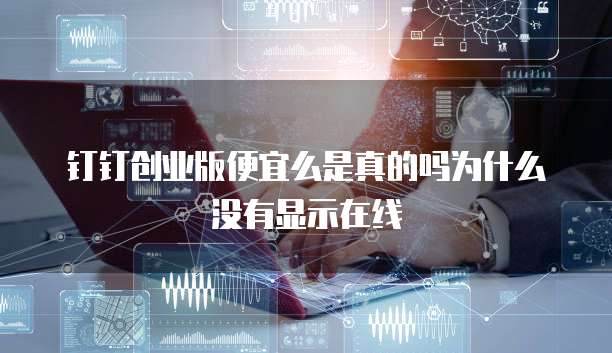 钉钉创业版便宜么是真的吗为什么没有显示在线