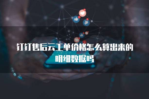 钉钉售后云工单价格怎么算出来的明细数据吗