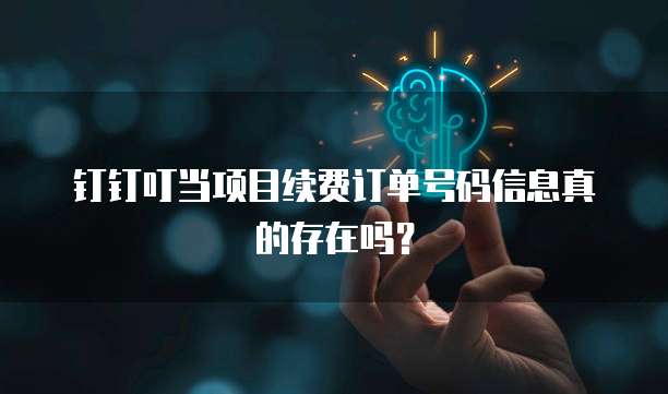 钉钉叮当项目续费订单号码信息真的存在吗?