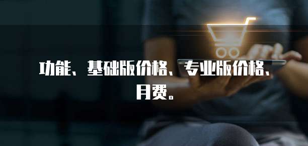 功能、基础版价格、专业版价格、月费。