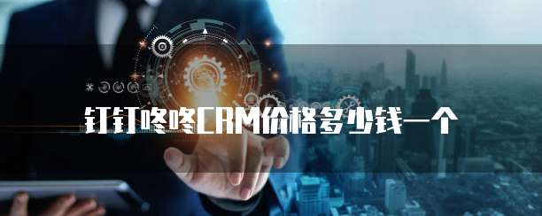 钉钉咚咚CRM价格多少钱一个