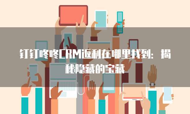 钉钉咚咚CRM返利在哪里找到:揭秘隐藏的宝藏