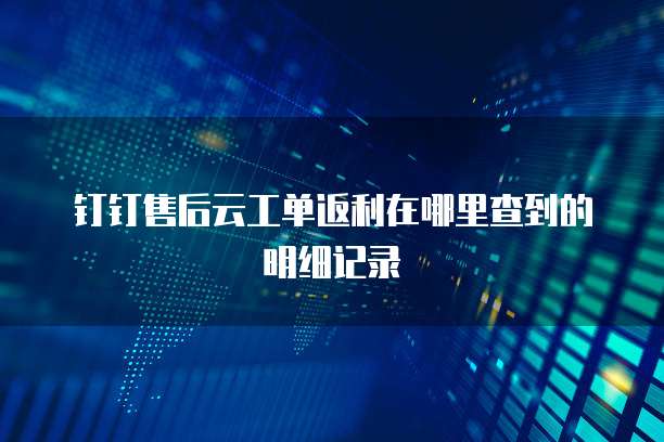 钉钉售后云工单返利在哪里查到的明细记录