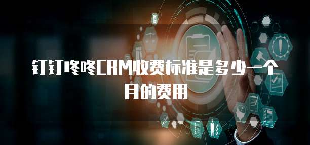 钉钉咚咚CRM收费标准是多少一个月的费用