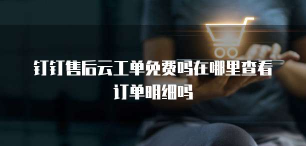 钉钉售后云工单免费吗在哪里查看订单明细吗