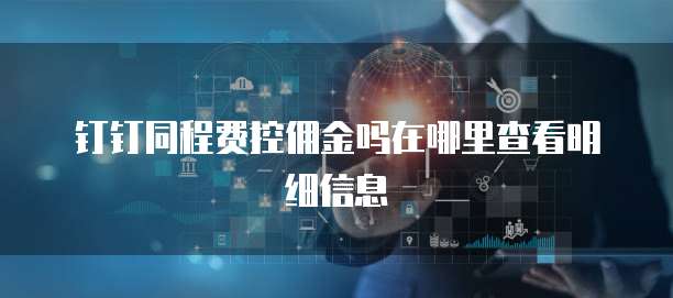 钉钉同程费控佣金吗在哪里查看明细信息