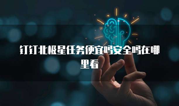 钉钉北极星任务便宜吗安全吗在哪里看