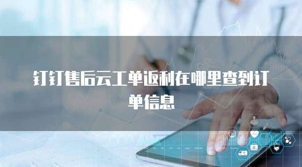 钉钉售后云工单返利在哪里查到订单信息