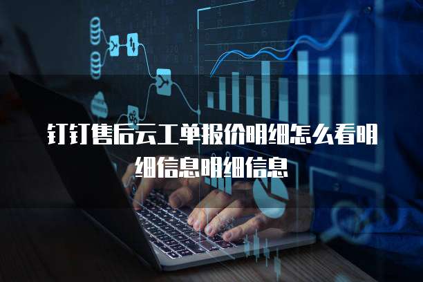 钉钉售后云工单报价明细怎么看明细信息明细信息