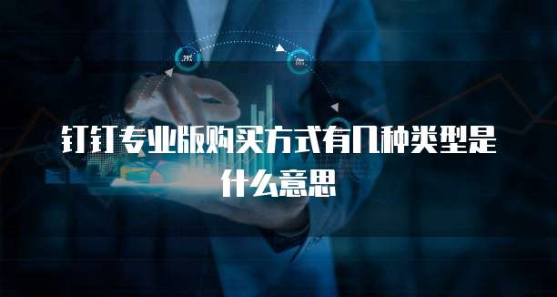 钉钉专业版购买方式有几种类型是什么意思