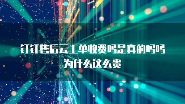 钉钉售后云工单收费吗是真的吗吗为什么这么贵