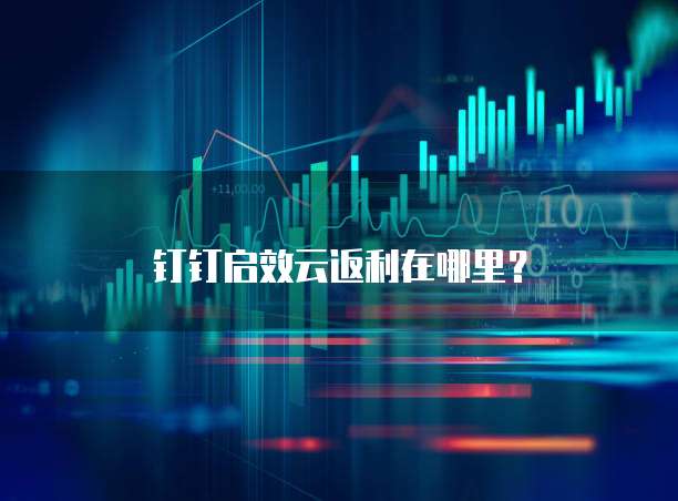 钉钉启效云返利在哪里？