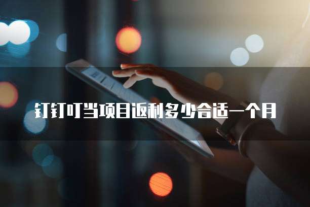 钉钉叮当项目返利多少合适一个月