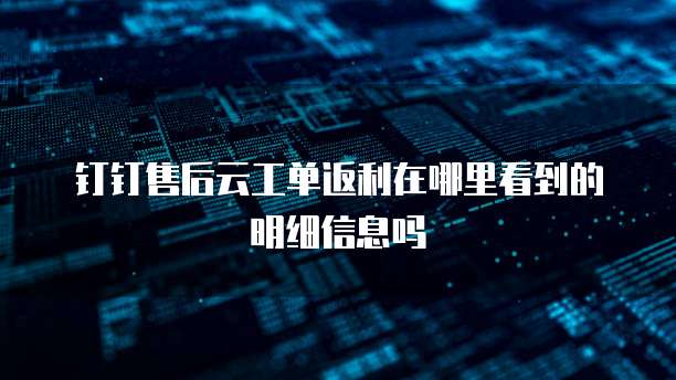 钉钉售后云工单返利在哪里看到的明细信息吗