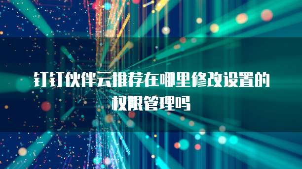 钉钉伙伴云推荐在哪里修改设置的权限管理吗