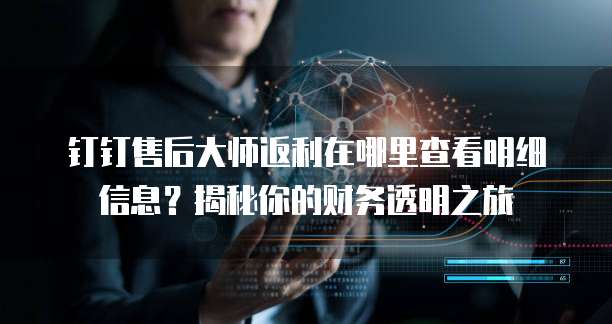 钉钉售后大师返利在哪里查看明细信息?揭秘你的财务透明之旅