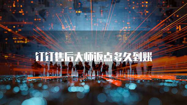 钉钉售后大师返点多久到账