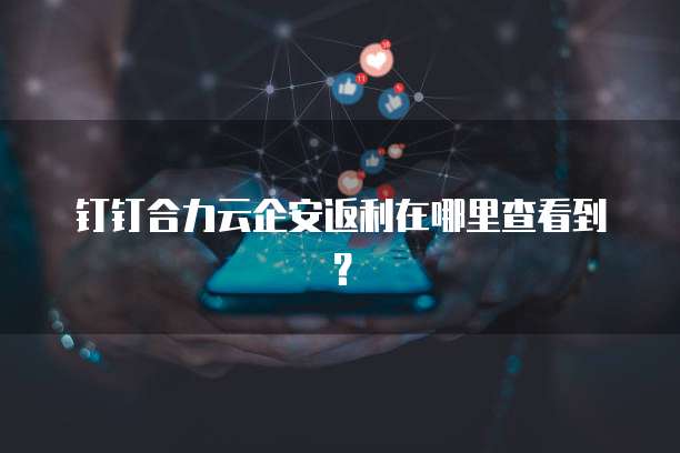 钉钉合力云企安返利在哪里查看到?