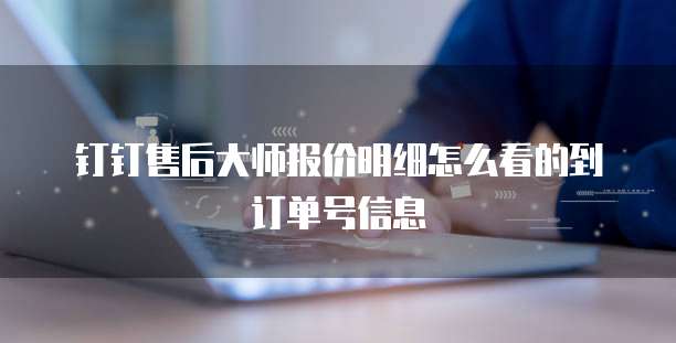 钉钉售后大师报价明细怎么看的到订单号信息