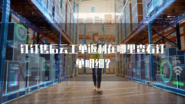 钉钉售后云工单返利在哪里查看订单明细?