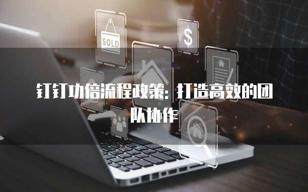 钉钉功倍流程政策: 打造高效的团队协作