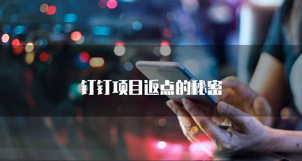 钉钉项目返点的秘密