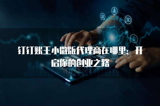 钉钉账王小微版代理商在哪里:开启你的创业之路