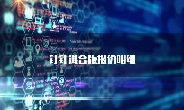 钉钉混合版报价明细