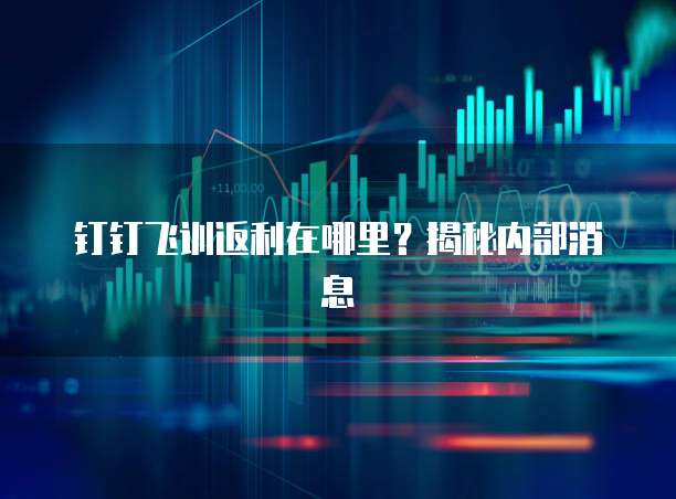 钉钉飞训返利在哪里?揭秘内部消息
