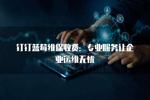 钉钉蓝莓维保收费：专业服务让企业运维无忧