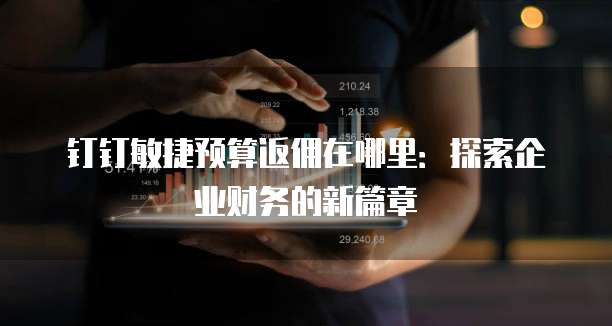 钉钉敏捷预算返佣在哪里:探索企业财务的新篇章