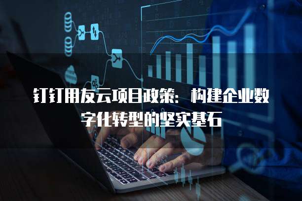 钉钉用友云项目政策：构建企业数字化转型的坚实基石