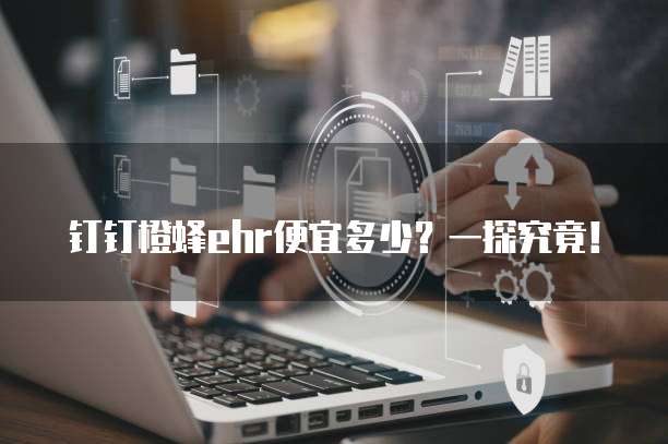 钉钉橙蜂ehr便宜多少?一探究竟!